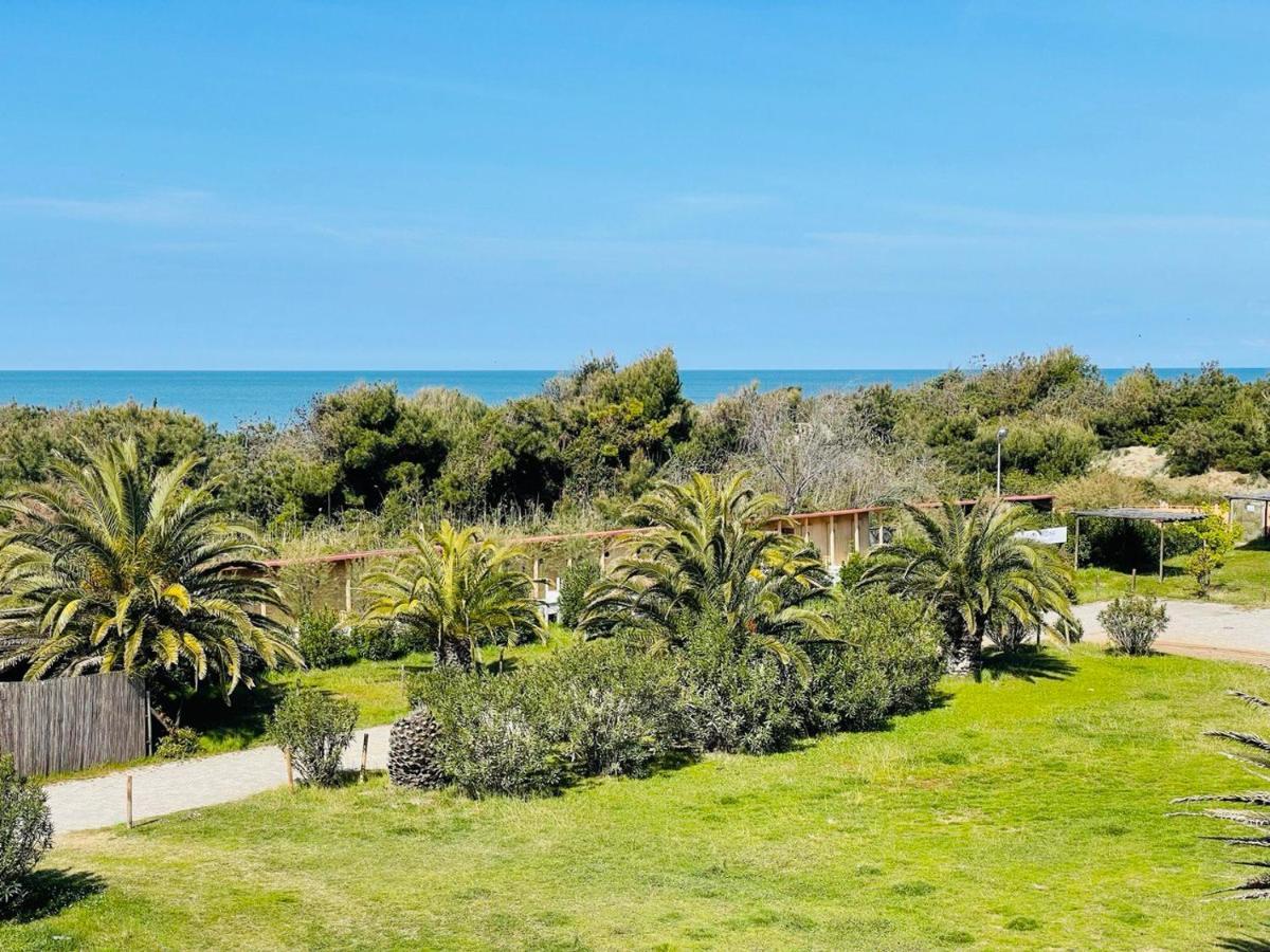 Regina Beach Holiday Apartments Tirrenia Exteriör bild